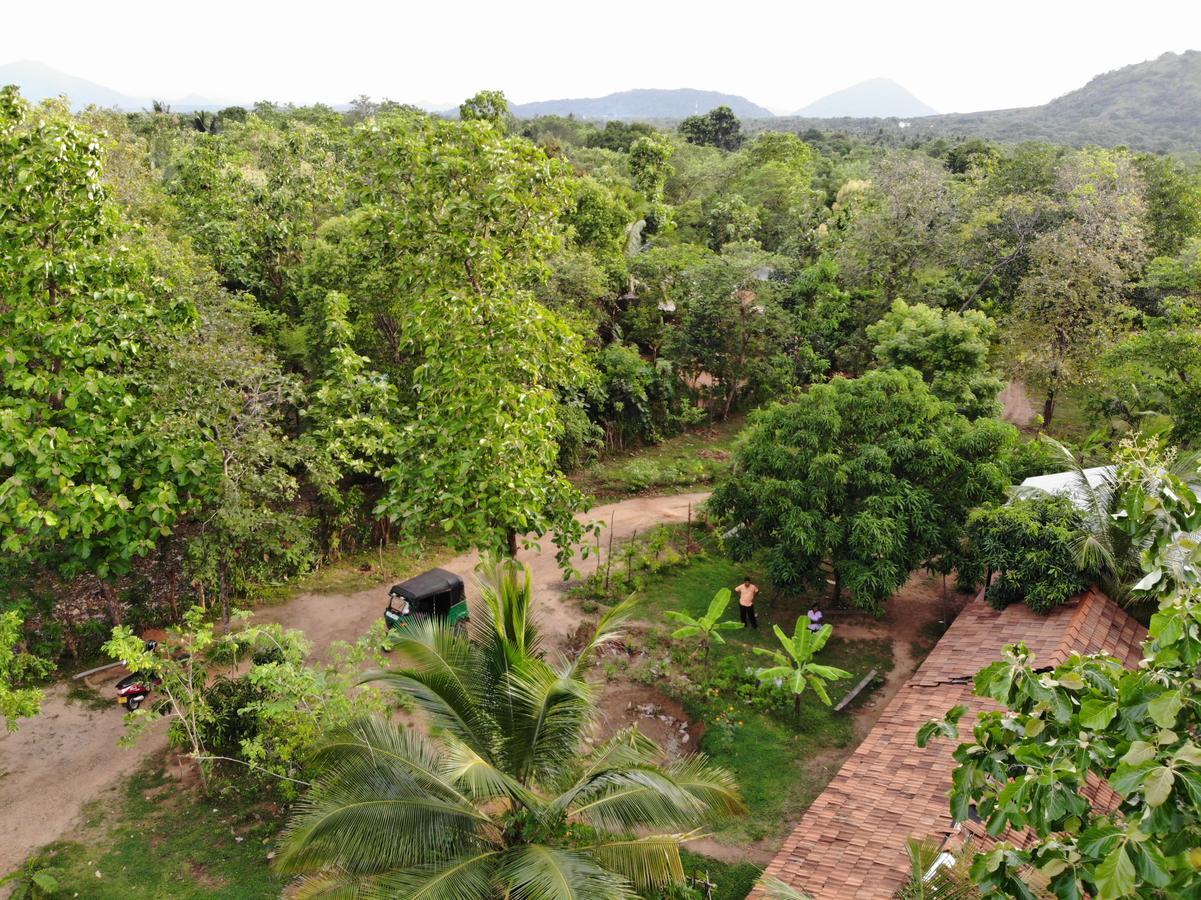 Araliya Self Cooking Resort Dambulla Exterior foto